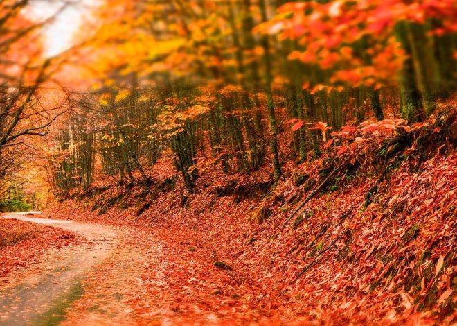 El rincón de Extremadura donde encontrarás una de las escenas más bonitas del otoño