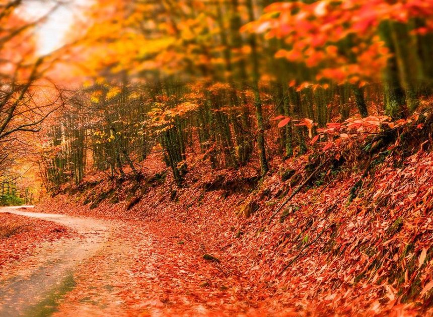 El rincón de Extremadura donde encontrarás una de las escenas más bonitas del otoño