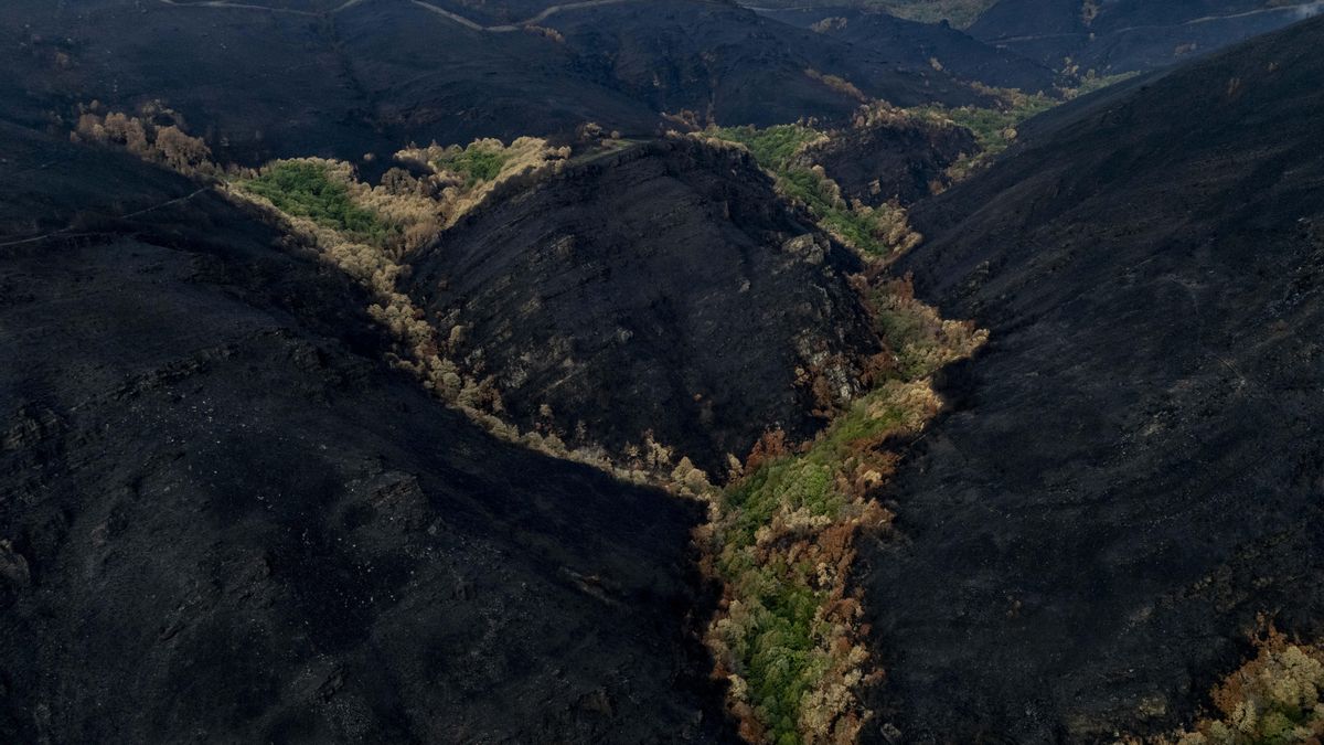 La crisis anunciada en las zonas que ardieron en Galicia: la ceniza que arrastra la lluvia deja a los vecinos sin agua potable