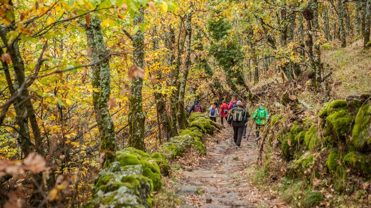 ¿Cuál es la ruta más larga que puede hacerse a pie por Europa?