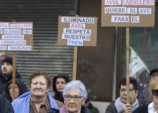 Afectados por la supresión de paradas del AVE en Zamora llevan sus reivindicaciones a Vigo