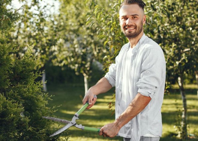 Cómo hacer la poda de invierno, según el jardinero Oleguer Grau: «Es una época de letargo vital para muchas plantas»