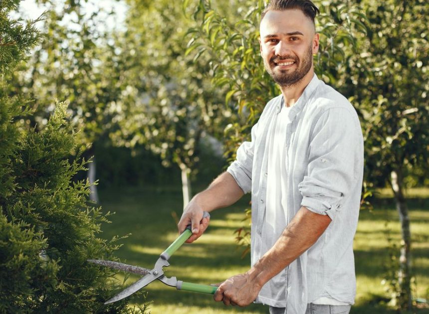Cómo hacer la poda de invierno, según el jardinero Oleguer Grau: «Es una época de letargo vital para muchas plantas»
