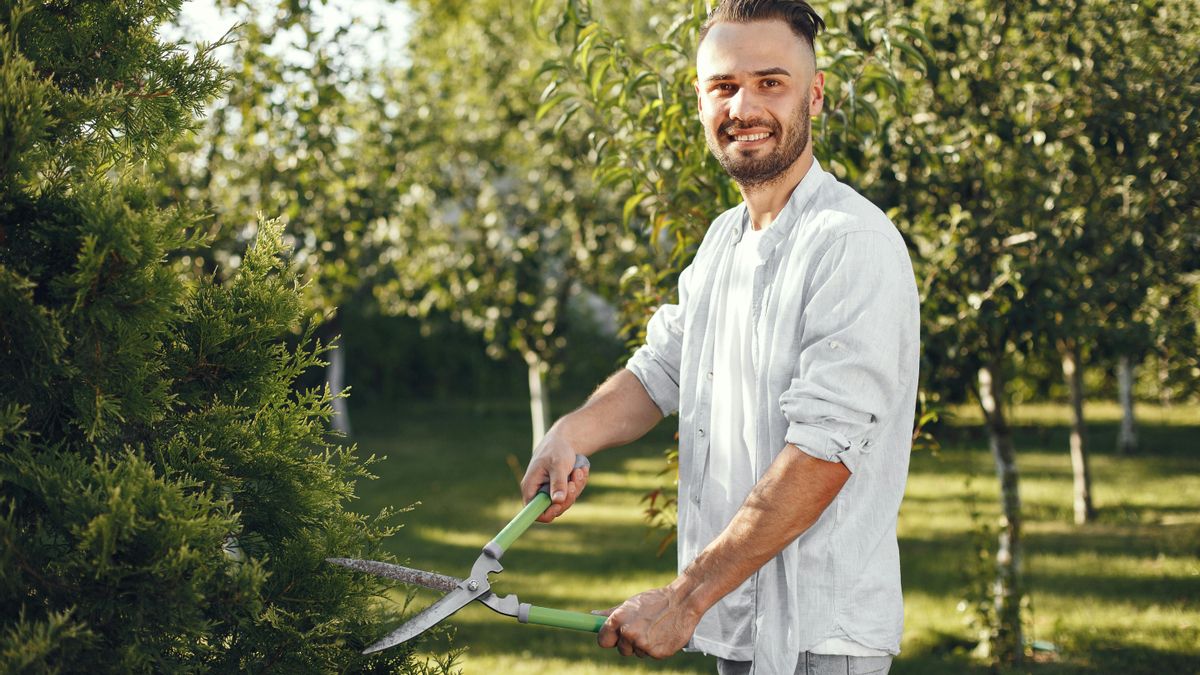 Cómo hacer la poda de invierno, según el jardinero Oleguer Grau: «Es una época de letargo vital para muchas plantas»