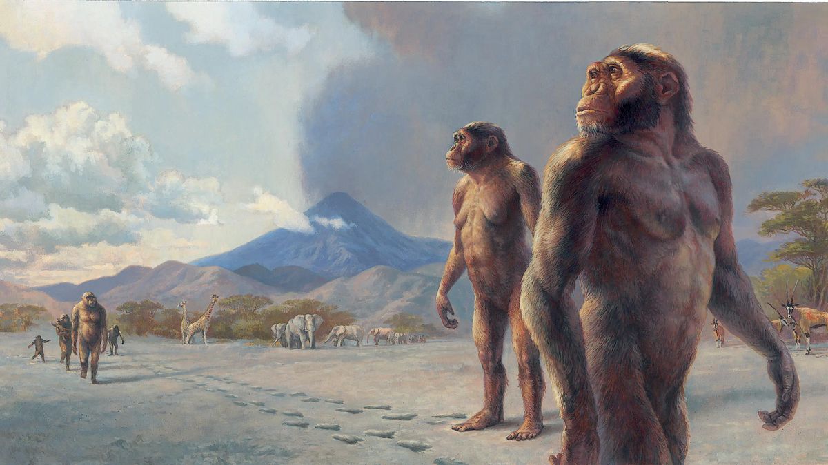 Un misterioso ancestro humano coexistió con Lucy y caminaba erguido con ‘pies de gorila’