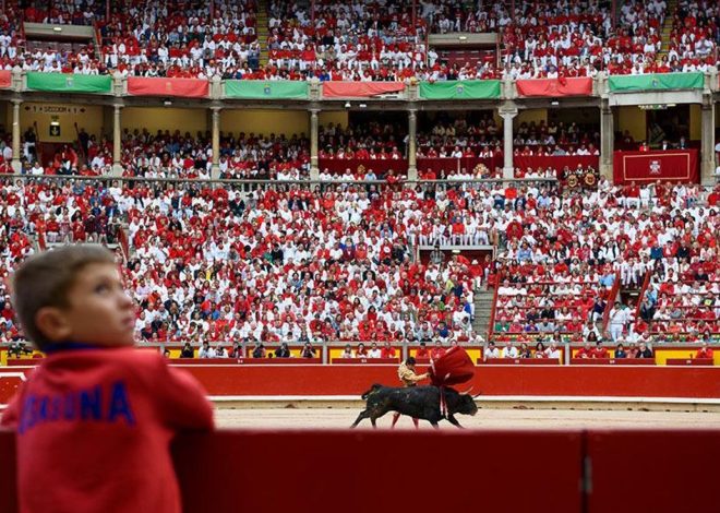 ¿Maltratar animales para aprender a respetarlos?