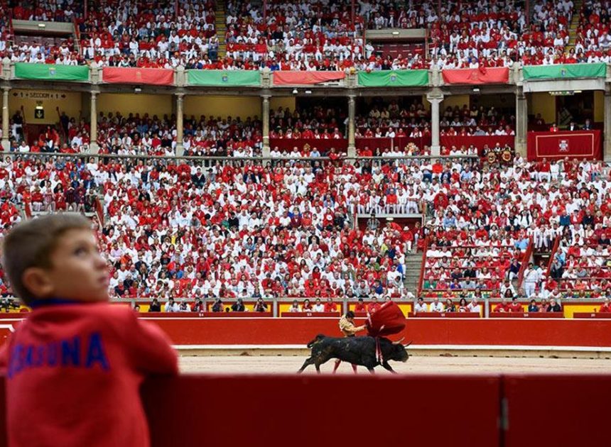 ¿Maltratar animales para aprender a respetarlos?