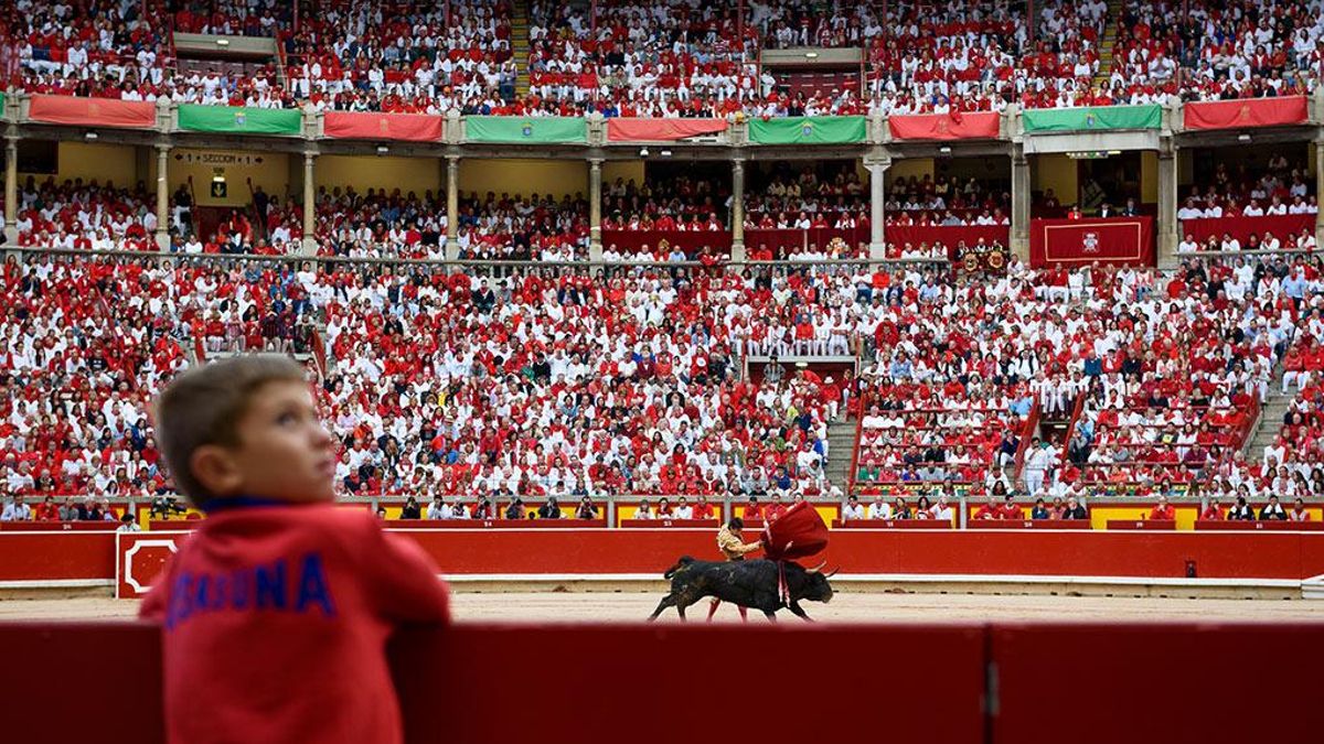 ¿Maltratar animales para aprender a respetarlos?