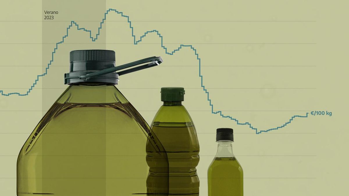 ¿Adiós a la bajada del aceite de oliva? Las dudas sobre la cosecha y la producción «fantasma» de Túnez tensan los precios