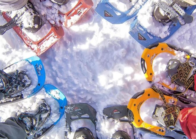 Planes para disfrutar de la nieve sin esquiar: otras formas de vivir el invierno