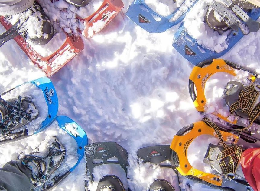 Planes para disfrutar de la nieve sin esquiar: otras formas de vivir el invierno