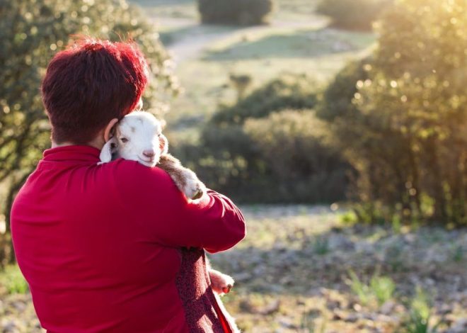 De la ayuda invisibilizada al liderazgo real: el 23% de las explotaciones agrícolas en Aragón están lideradas por mujeres