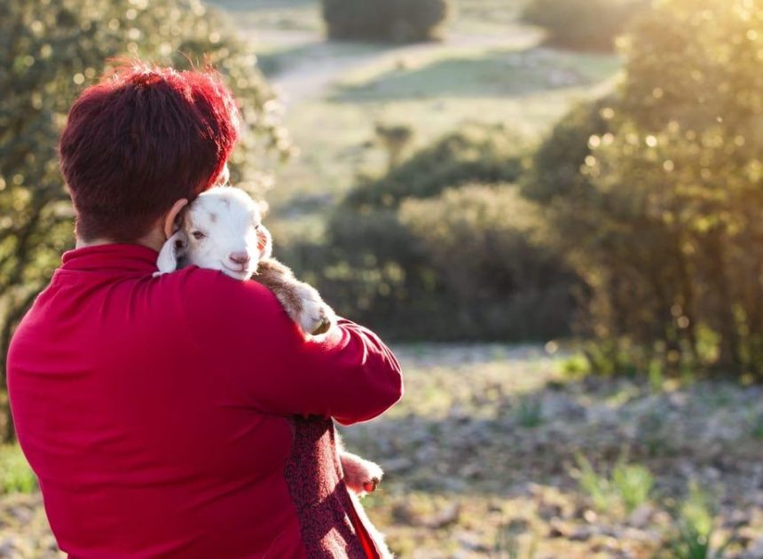 De la ayuda invisibilizada al liderazgo real: el 23% de las explotaciones agrícolas en Aragón están lideradas por mujeres