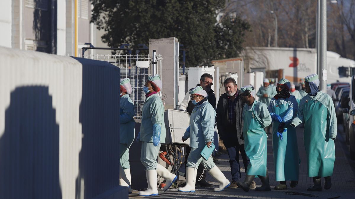 El Govern aprueba un ERTE para 458 trabajadores del sector cárnico por la peste porcina africana