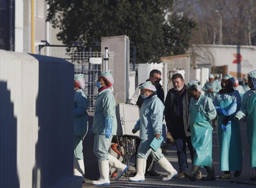 La cárnica Grupo Jorge suspende a 300 trabajadores temporales de un matadero de Barcelona por la peste porcina