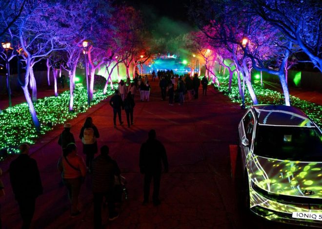 Naturaleza Encendida abandona Madrid después de cinco años de polémicas por su privatización del espacio público