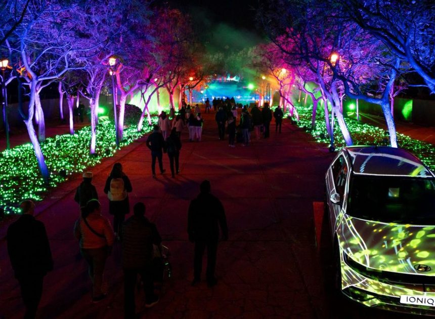 Naturaleza Encendida abandona Madrid después de cinco años de polémicas por su privatización del espacio público