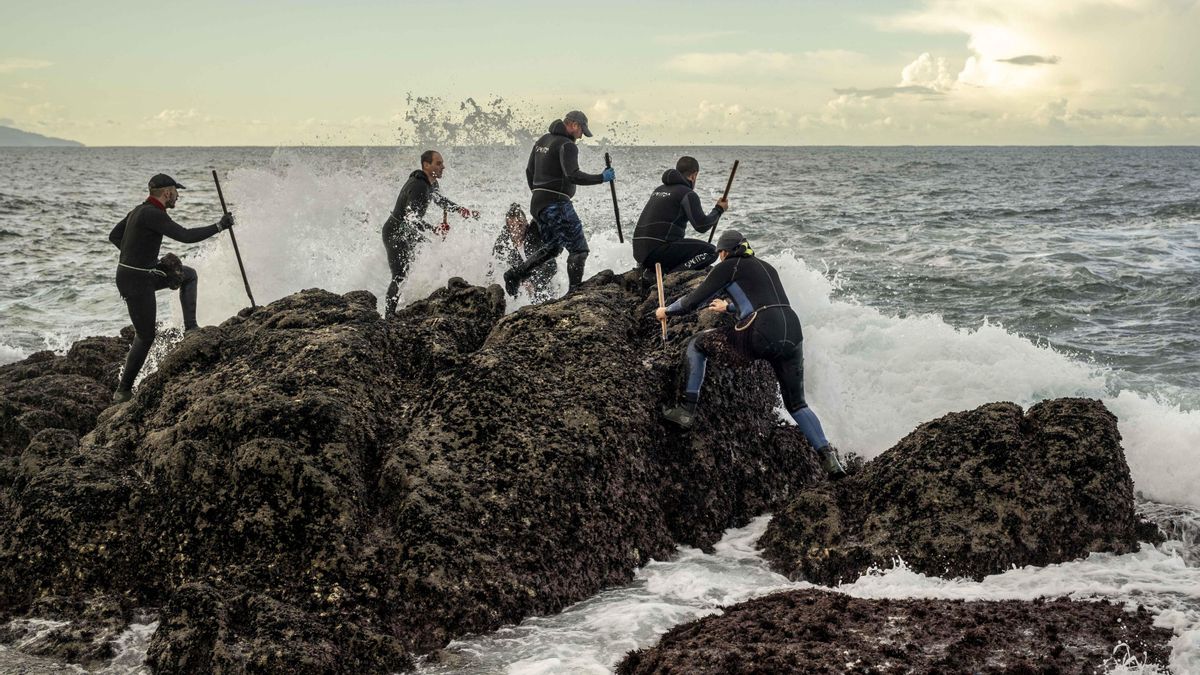 Viaje a las rompientes donde los percebeiros se juegan la vida para extraer el marisco más deseado de la Navidad