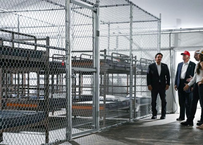 Así es el horror de Alligator Alcatraz: “32 personas por celda, luces siempre encendidas, frío y muchos mosquitos”