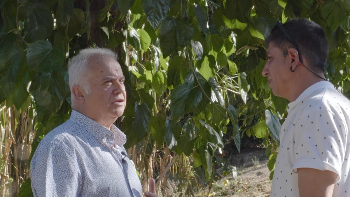 “Vidas restauradas”, el documental que expone encuentros entre víctimas de accidentes de tráfico y sus infractores