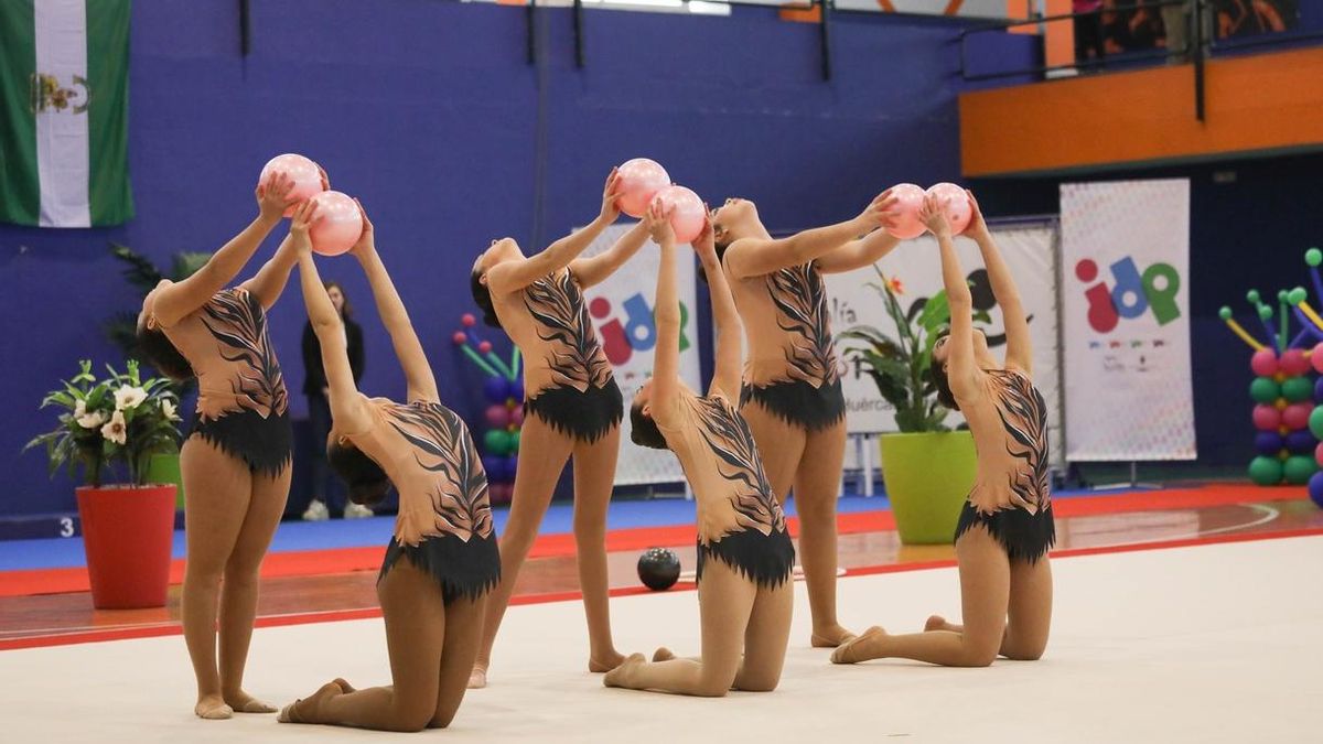 Inscripciones en Navidad y pagos desde las mismas cuentas: la ‘guerra’ interna en la Gimnasia de Castilla y León va a juicio