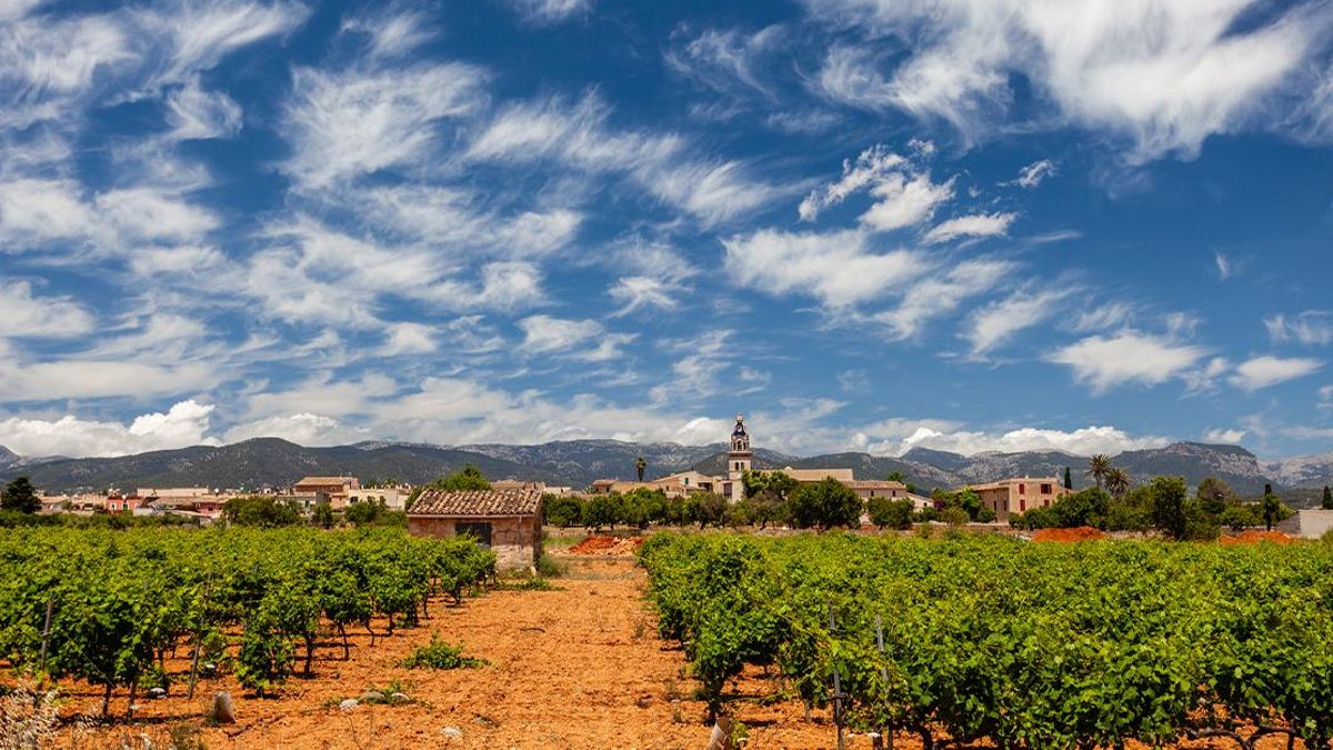 El pequeño pueblo de Mallorca donde se prepara la mejor miel de España en 2025