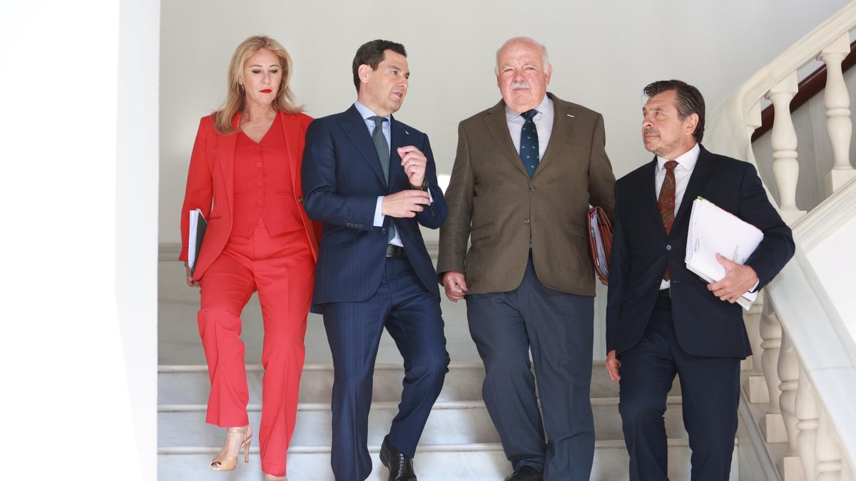 La Intervención del Estado irrumpe en el caso de los contratos sanitarios troceados para ver si el Gobierno andaluz malversó