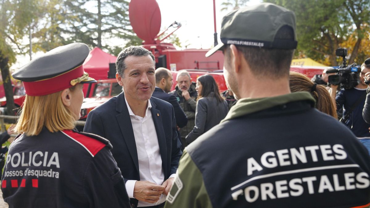 Catalunya contiene el brote de peste porcina tras diez días de crisis: «Vamos por el buen camino»