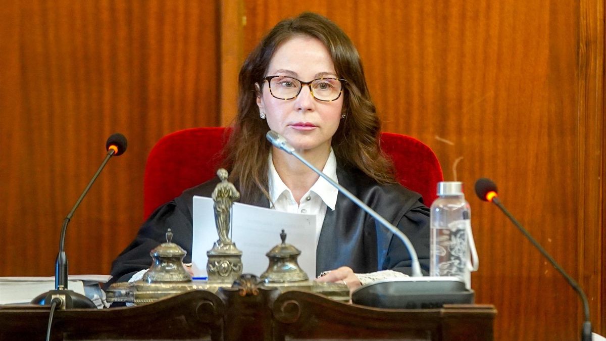 Una «acusación infundada»: por qué el caso Aznalcóllar es un nuevo fracaso de la jueza Alaya y su «manera de ver las cosas»