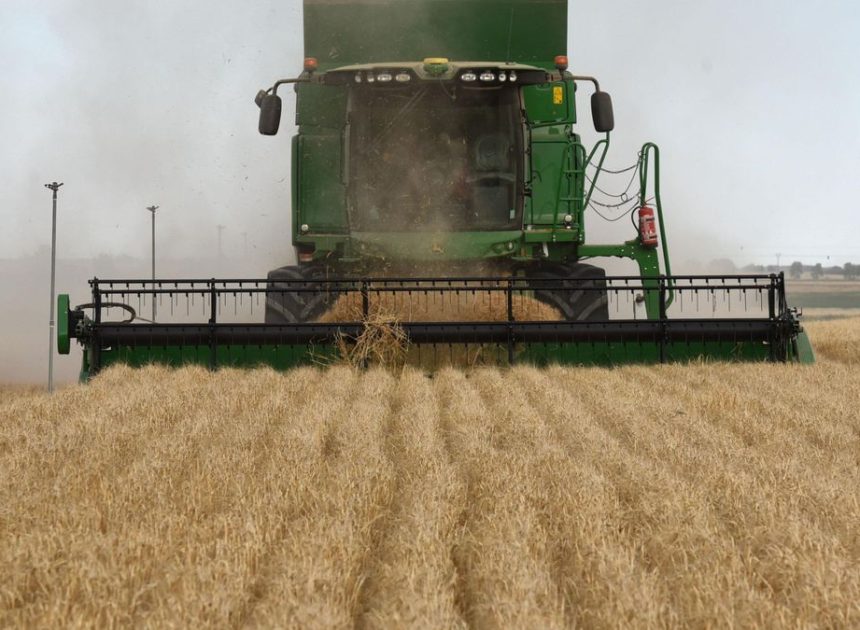 La Eurocámara endurece las salvaguardas del acuerdo con Mercosur frente a la negativa de Francia a aprobarlo