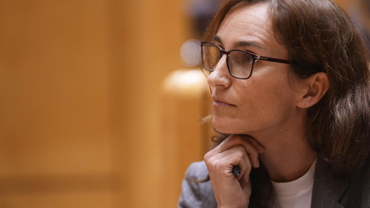 Fases del plan gripe 2025: con síntomas, mascarilla recomendada y fomento del teletrabajo