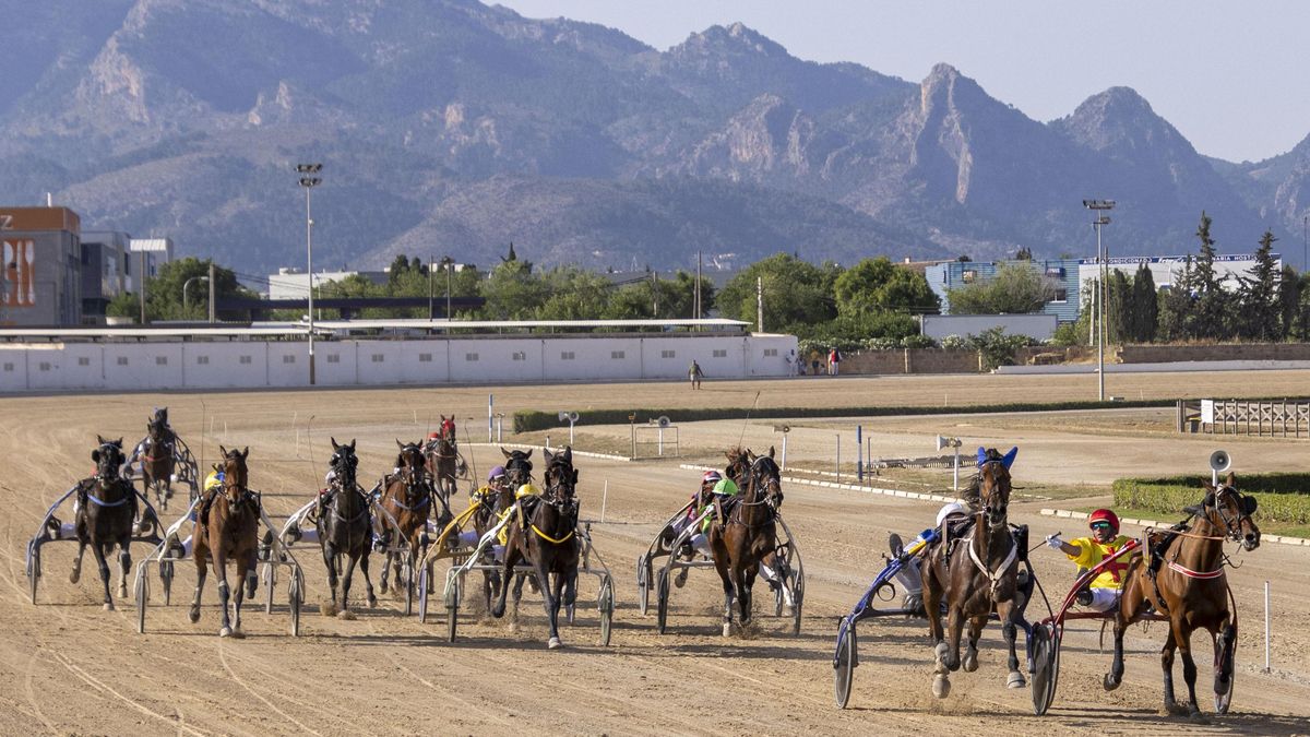 PP y Vox aumentaron las subvenciones al hipódromo de Mallorca sin licencia acusado de «maltrato animal»
