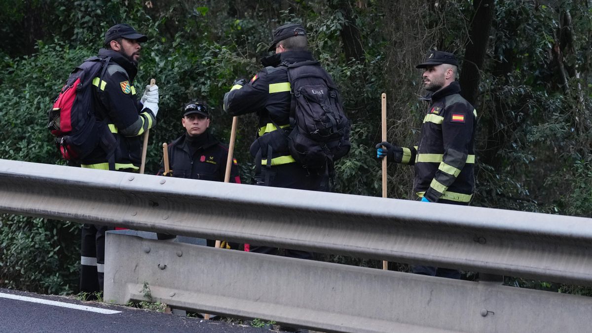 Catalunya amplía a 91 municipios la prohibición de acceder a bosques, prados y ríos por la peste porcina