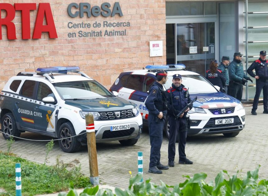 La auditoría del Govern considera «seguro» el laboratorio que trabaja con la peste porcina pero no descarta la fuga