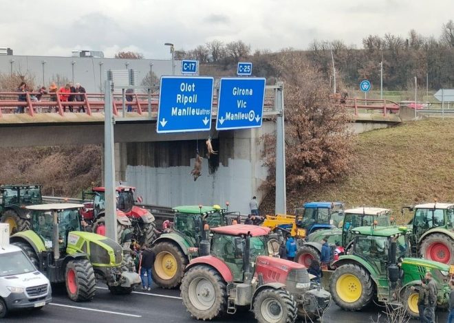 Agricultores catalanes cuelgan un jabalí y un ciervo muertos en la C-17 para protestar por el «exceso» de fauna salvaje