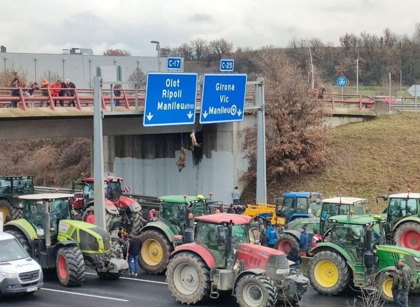 Agricultores catalanes cuelgan un jabalí y un ciervo muertos en la C-17 para protestar por el «exceso» de fauna salvaje