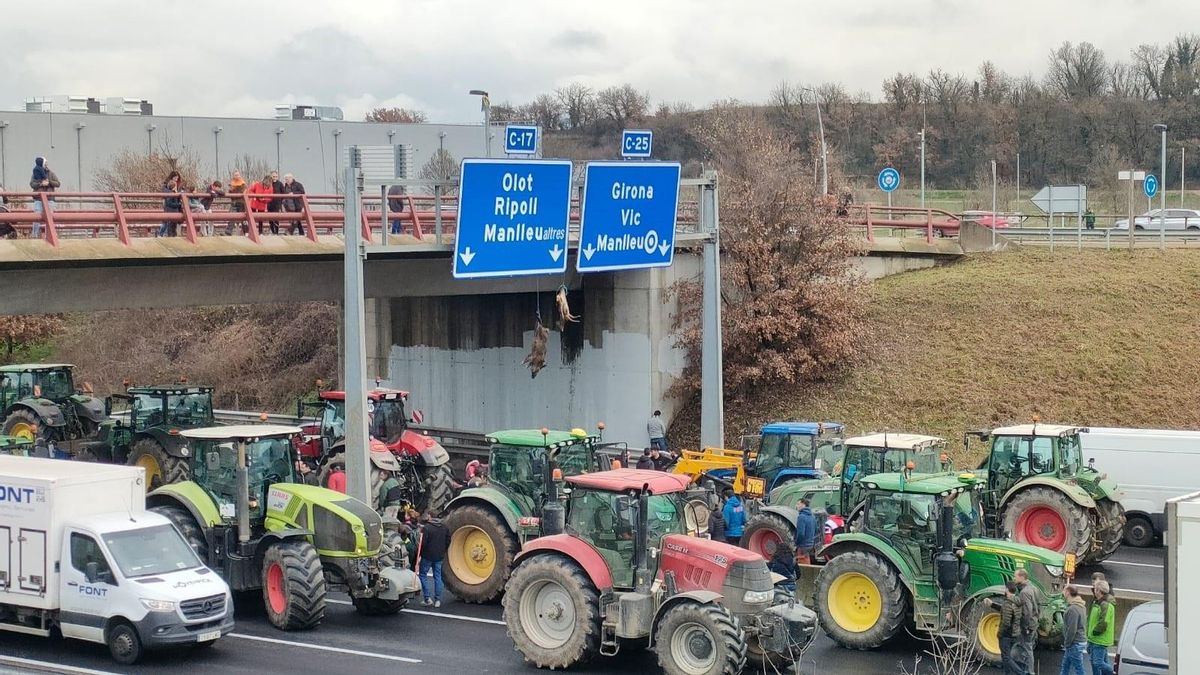 Agricultores catalanes cuelgan un jabalí y un ciervo muertos en la C-17 para protestar por el «exceso» de fauna salvaje