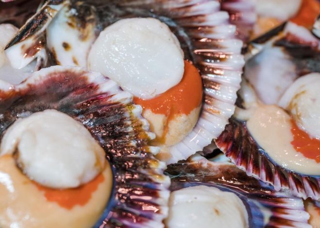 Zamburiñas por Navidad: la receta para prepararlas en casa como en un restaurante