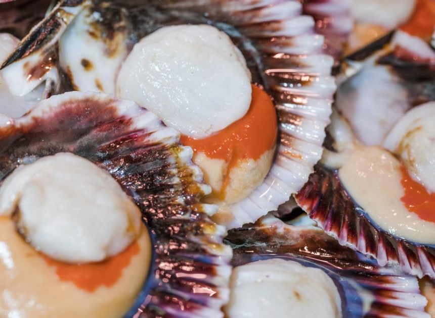 Zamburiñas por Navidad: la receta para prepararlas en casa como en un restaurante