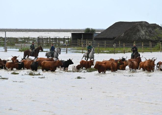 El pequeño pueblo de Doñana que pelea con el Estado por la marisma: Hinojos revive la lucha que ya ganó hace 50 años