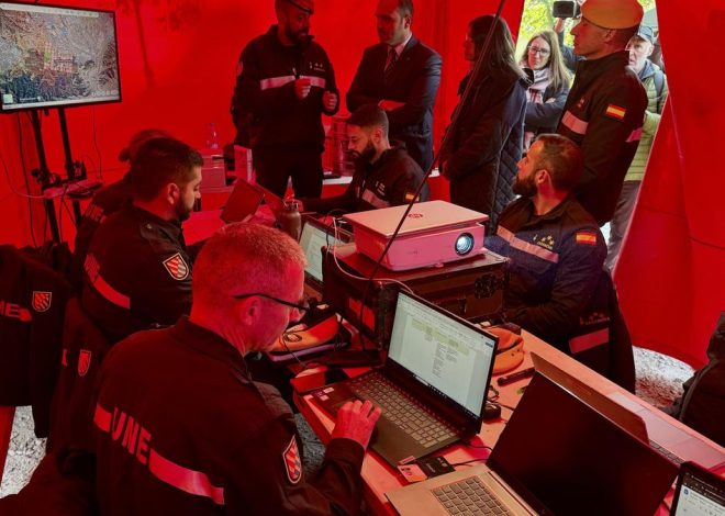 Recogidos 50 jabalíes muertos en la zona de Collserola (Barcelona) afectada por la peste porcina