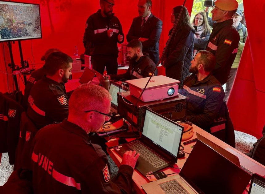 Recogidos 50 jabalíes muertos en la zona de Collserola (Barcelona) afectada por la peste porcina