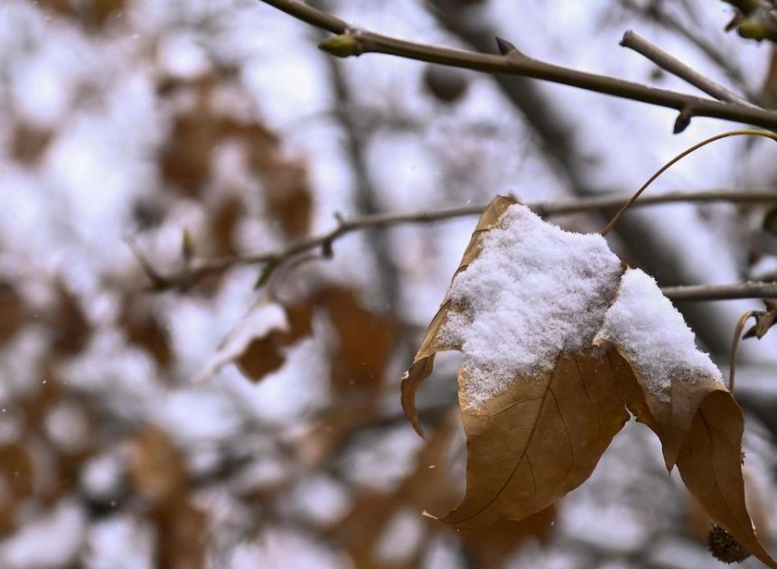 Frío polar en el interior con nieve y lluvias fuertes en el Mediterráneo protagonizan el segundo día de Navidad