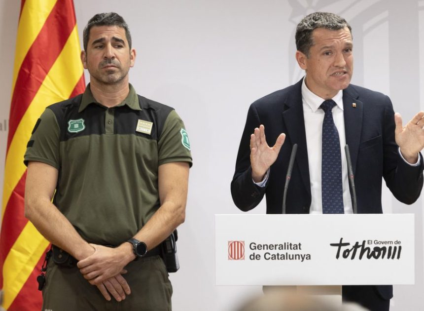 El Govern pide más efectivos para gestionar el brote de fiebre porcina: “Las primeras horas son críticas”