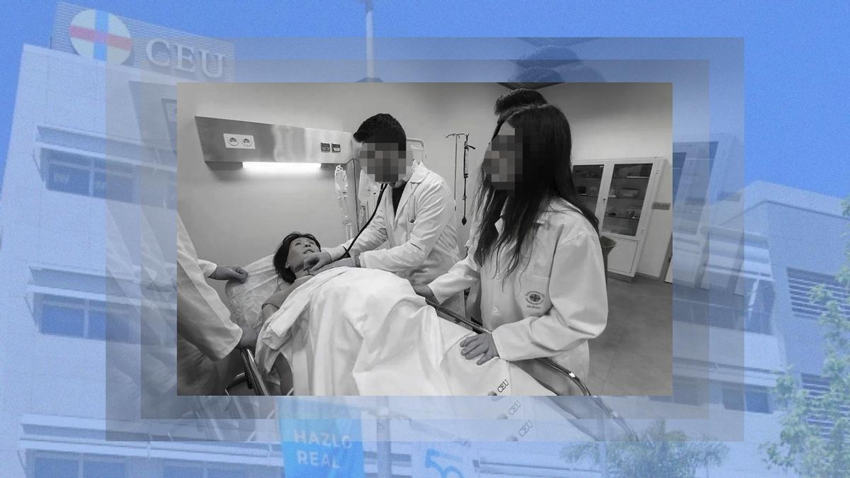 La Generalitat Valenciana investiga al CEU tras una denuncia por el embalsamamiento «ilegal» de más de 650 cadáveres