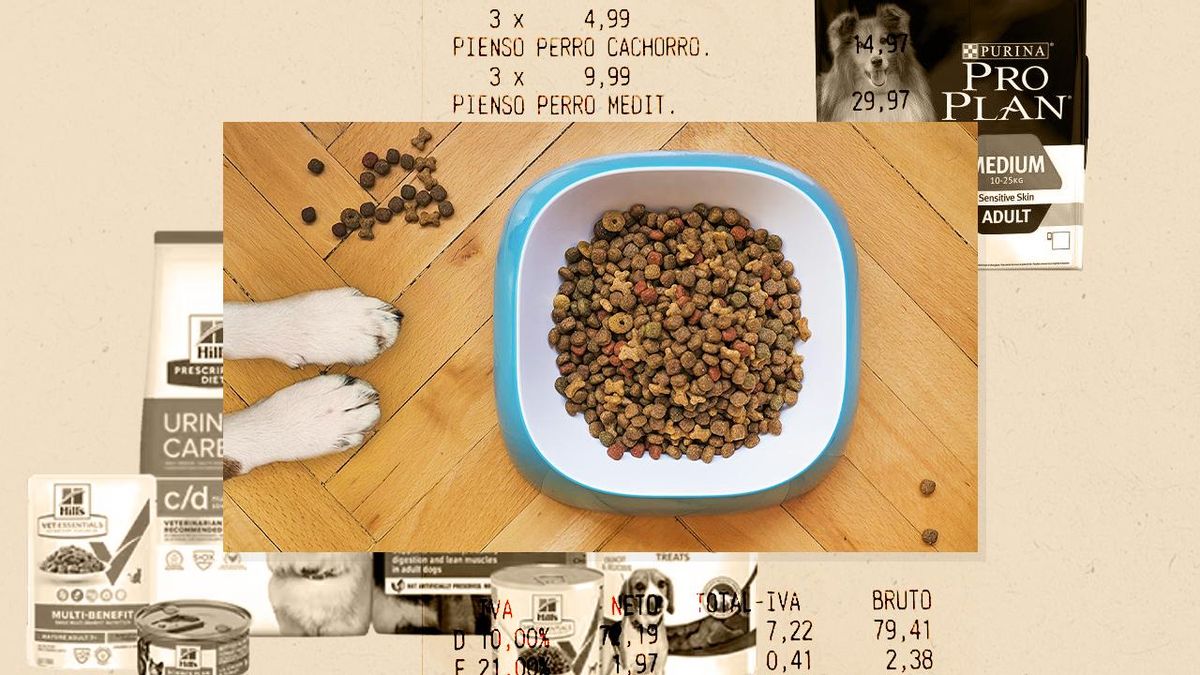 El negocio de las mascotas: ya supera los 175.000 millones y cada perro o gato supone hasta 220 euros en comida al año
