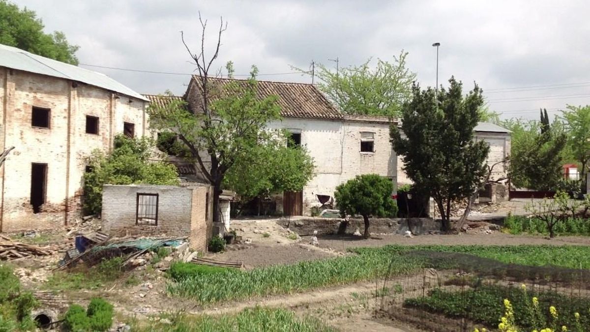 Granada destruye una huerta histórica del siglo XIX incluida en la Lista Roja de Patrimonio pese a la oposición vecinal