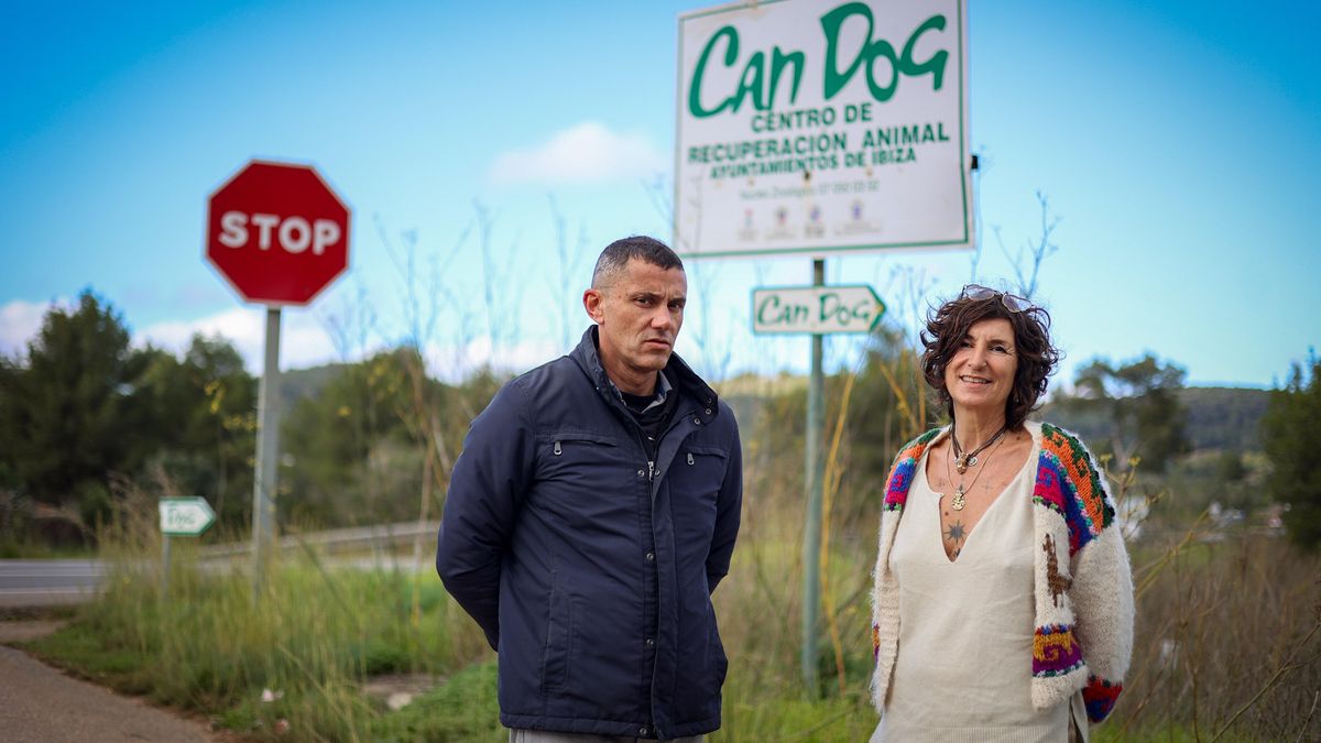 Cierra Can Dog, el ‘refugio’ que capeó décadas de denuncias y relegó a los perros al abandono: «Son 30 años de maltrato»