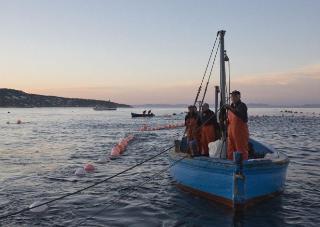 La UE acuerda que los pescadores del Mediterráneo puedan faenar 143 días en 2026