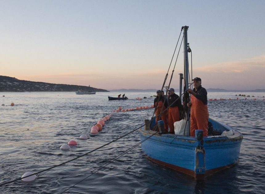La UE acuerda que los pescadores del Mediterráneo puedan faenar 143 días en 2026